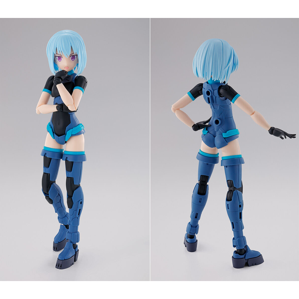 30MS SIS-Ac65n パワラリー=パリトン(グラーヴェフォーム)【再販