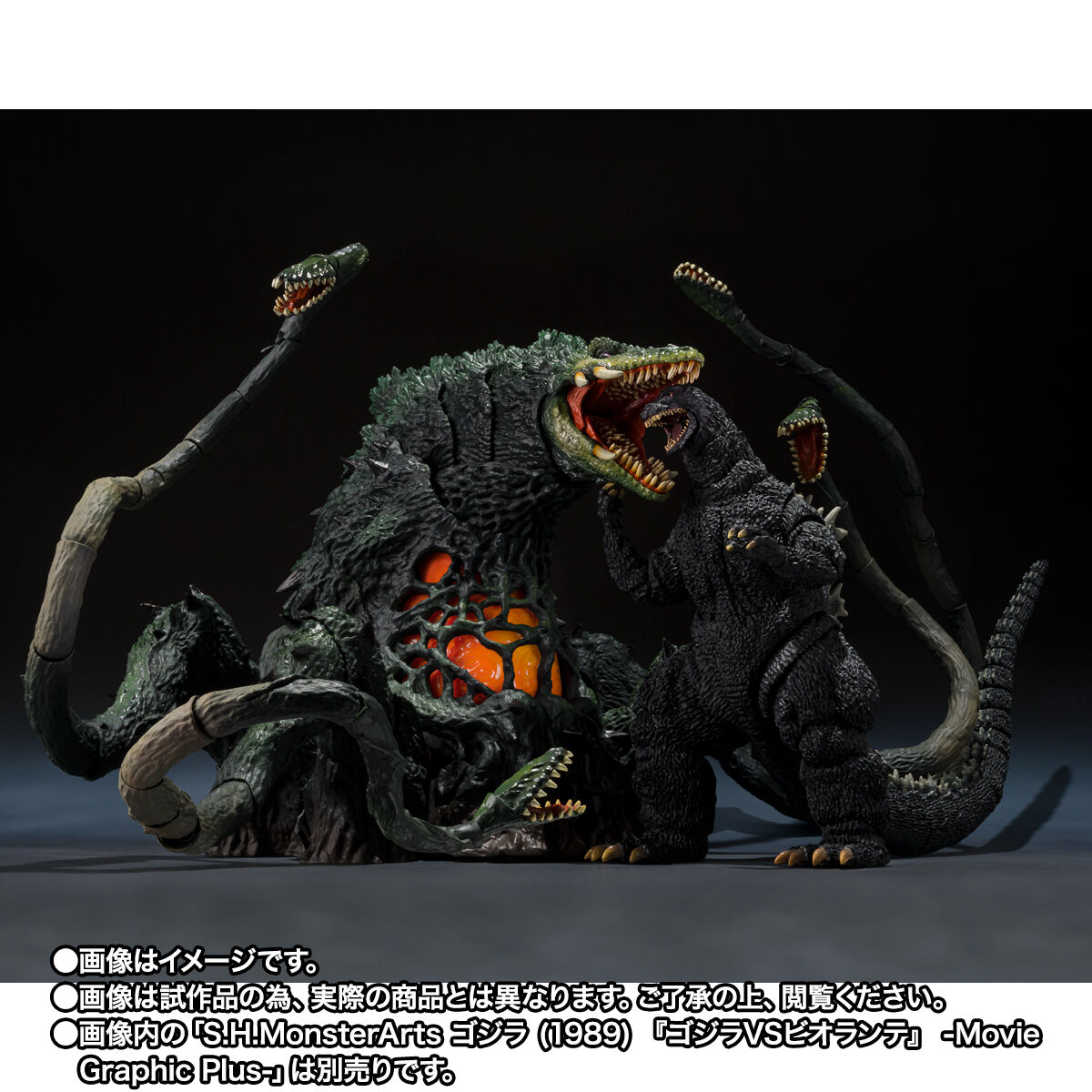 S.H.MonsterArts ビオランテ 若狭湾決戦Ver. | ゴジラシリーズ