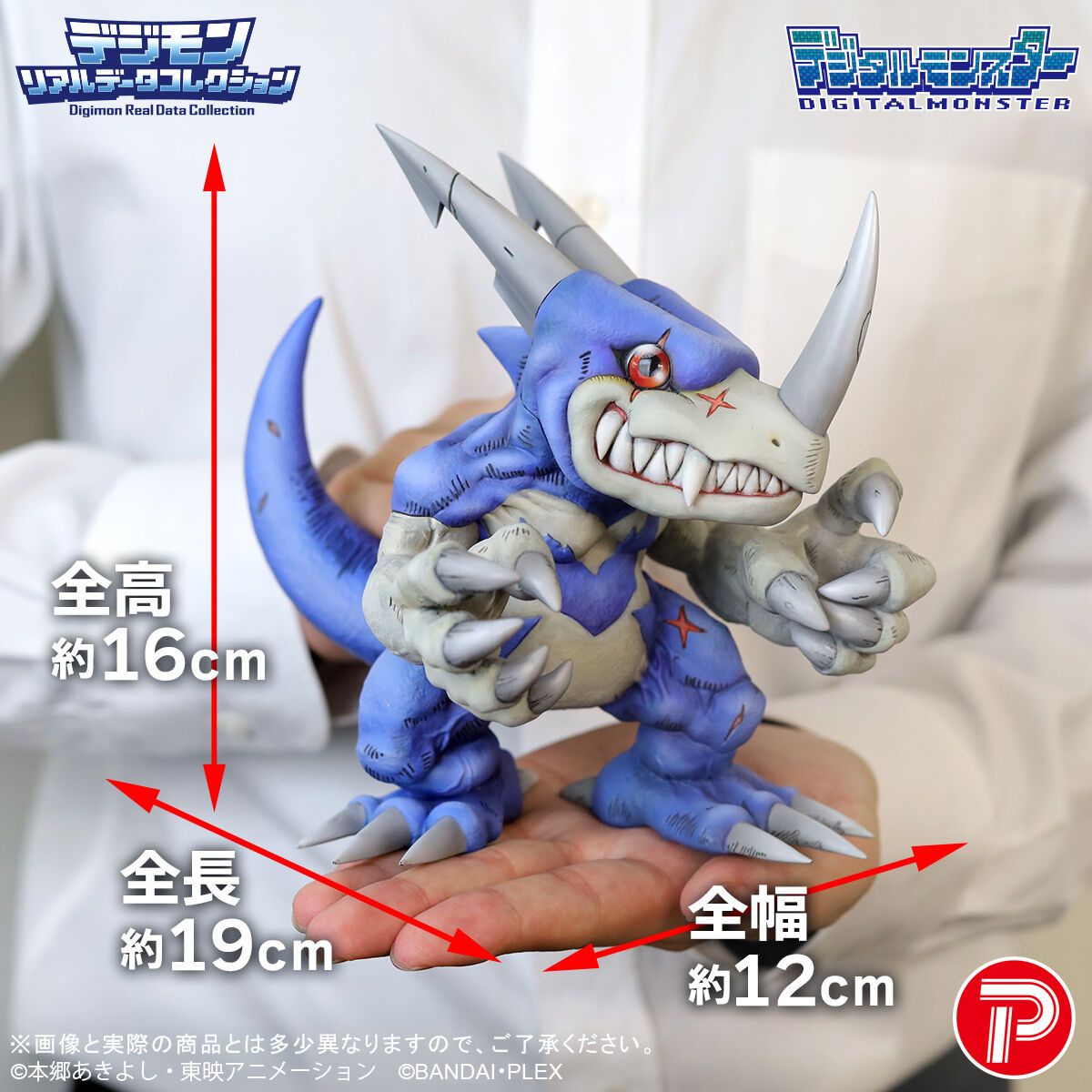 デジモン リアルデータコレクション ブイドラモン | デジタル