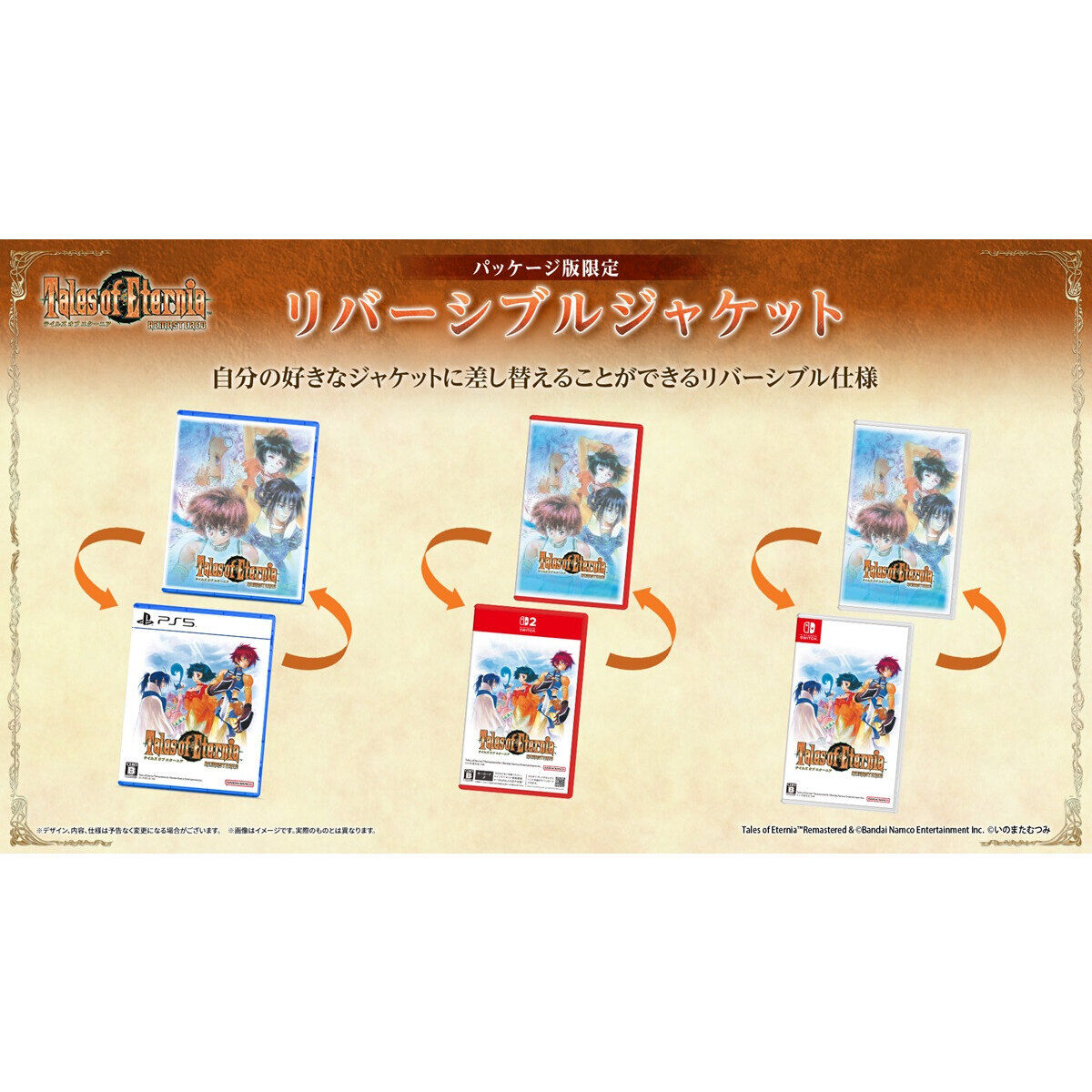 Nintendo Switch(TM)／Nintendo Switch(TM)2／PlayStation(R)5 〈特装
