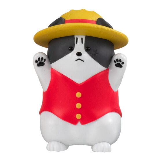 ごはんをくれ!と怒ってるルフィわんちゃん