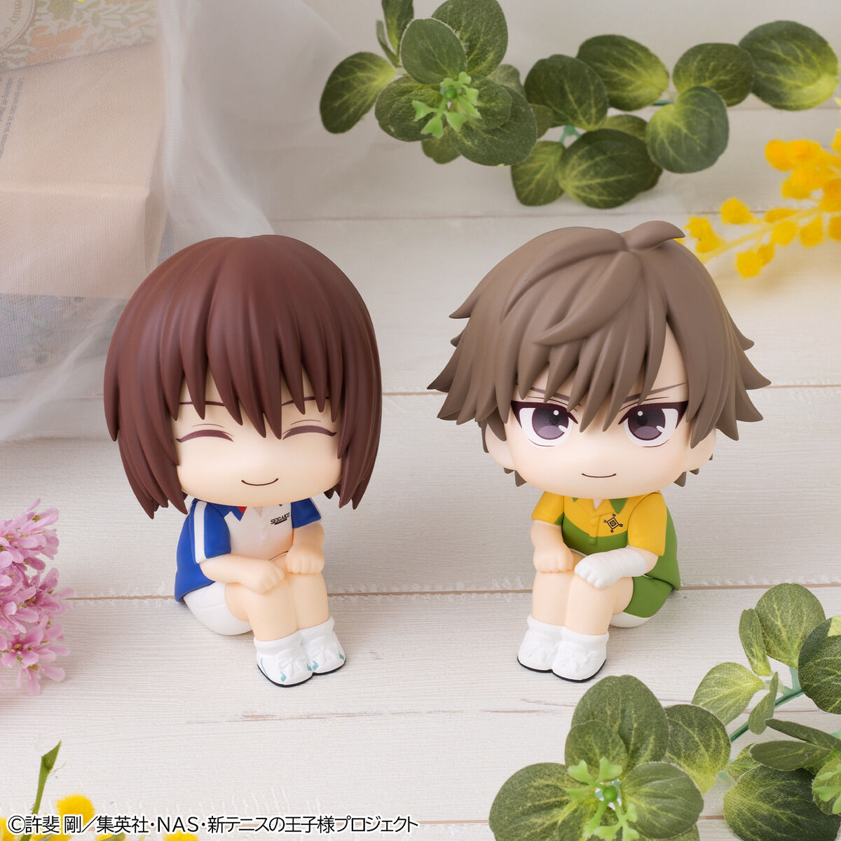 るかっぷ 新テニスの王子様 不二周助＆白石蔵ノ介 セット【限定座布団