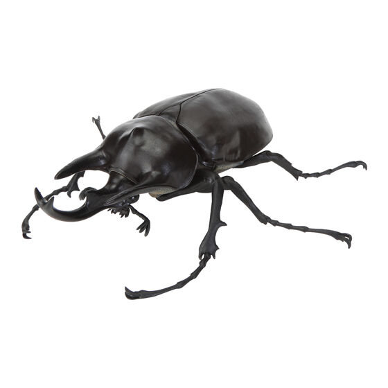 アクティオンゾウカブト