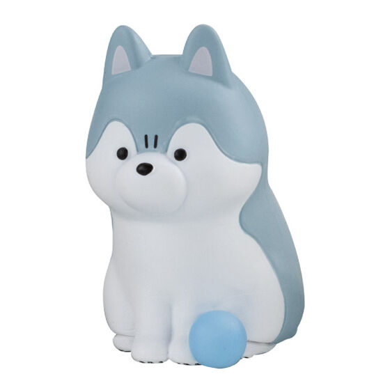 ボールを投げてくれなくて怒ってるわんちゃん