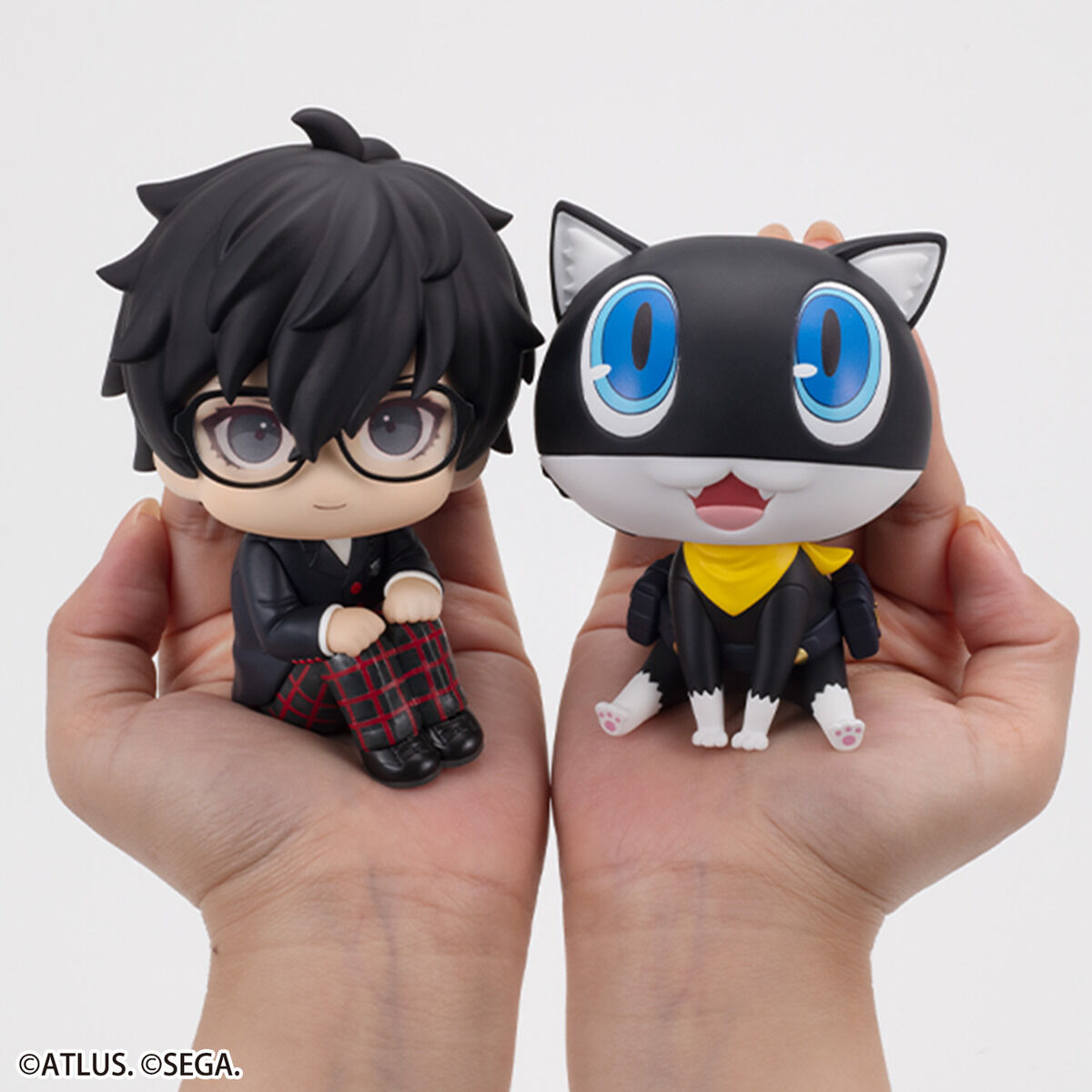 るかっぷ ペルソナ5 ザ・ロイヤル 主人公＆モルガナ セット【限定