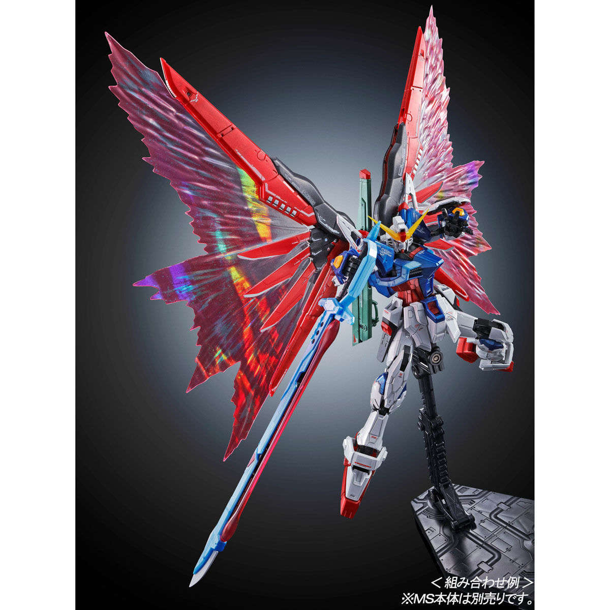 RGデスティニーガンダム チタニウムフィニッシュ 光の翼エフェクトセット RG 1/144 デスティニーガンダム用 拡張エフェクトユニット“光の翼