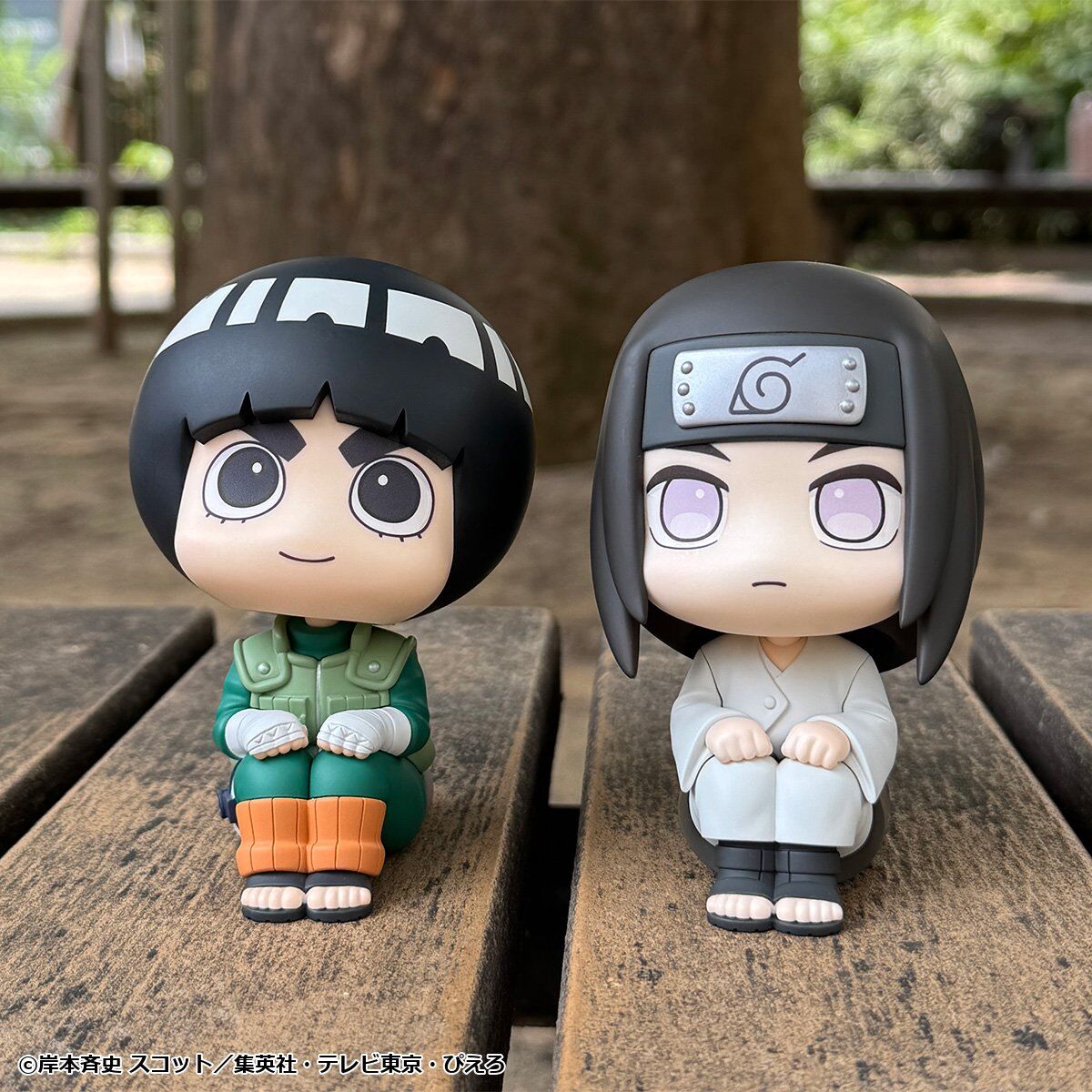 るかっぷ NARUTO-ナルト- 疾風伝 ロック・リー＆日向ネジ セット【限定