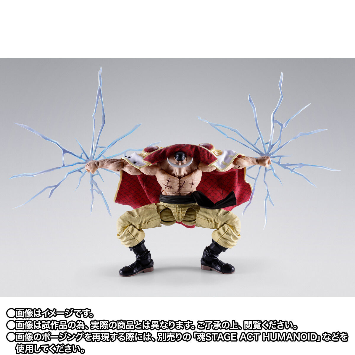 S.H.Figuarts エドワード・ニューゲート（白ひげ） -マリンフォード