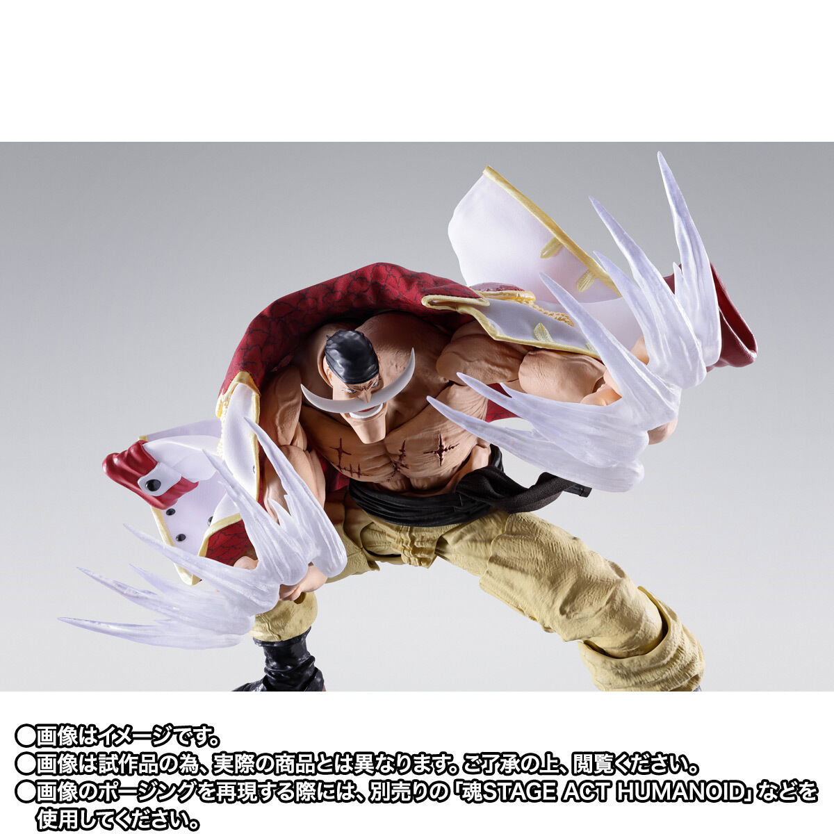 S.H.Figuarts エドワード・ニューゲート（白ひげ） -マリンフォード