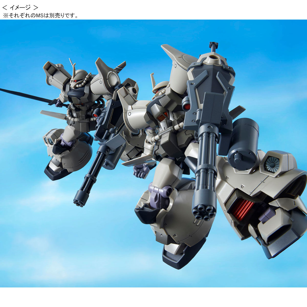 HGUC 1/144 グフ・フライトタイプ 【再販】 | 機動戦士ガンダム第