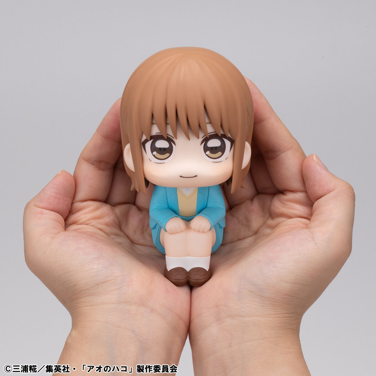 るかっぷ アオのハコ 鹿野千夏【限定座布団付き】 | アオのハコ