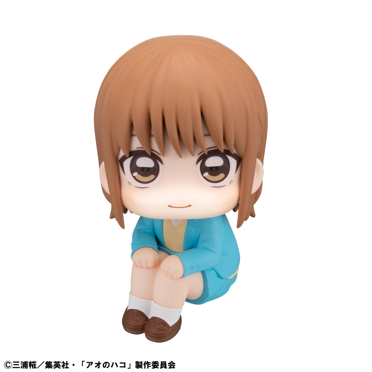 るかっぷ アオのハコ 鹿野千夏【限定座布団付き】 | アオのハコ