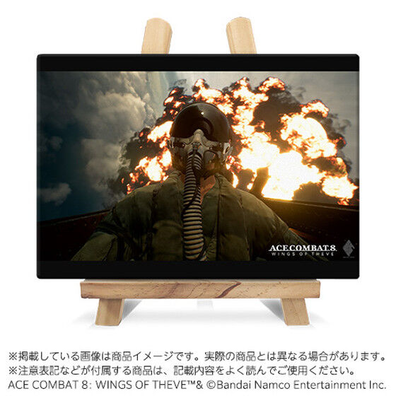 ACE COMBAT 8 オリジナルキャラファインボード3 | アニメグッズ