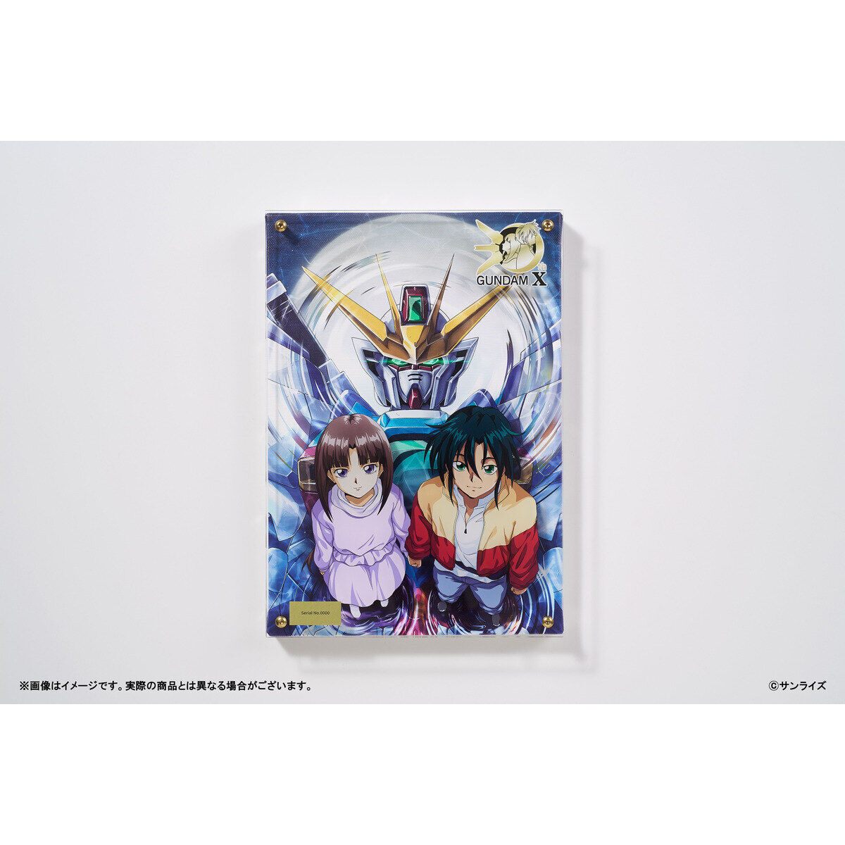 機動新世紀ガンダムX』30周年記念レイヤードグラフ(R) 【30周年
