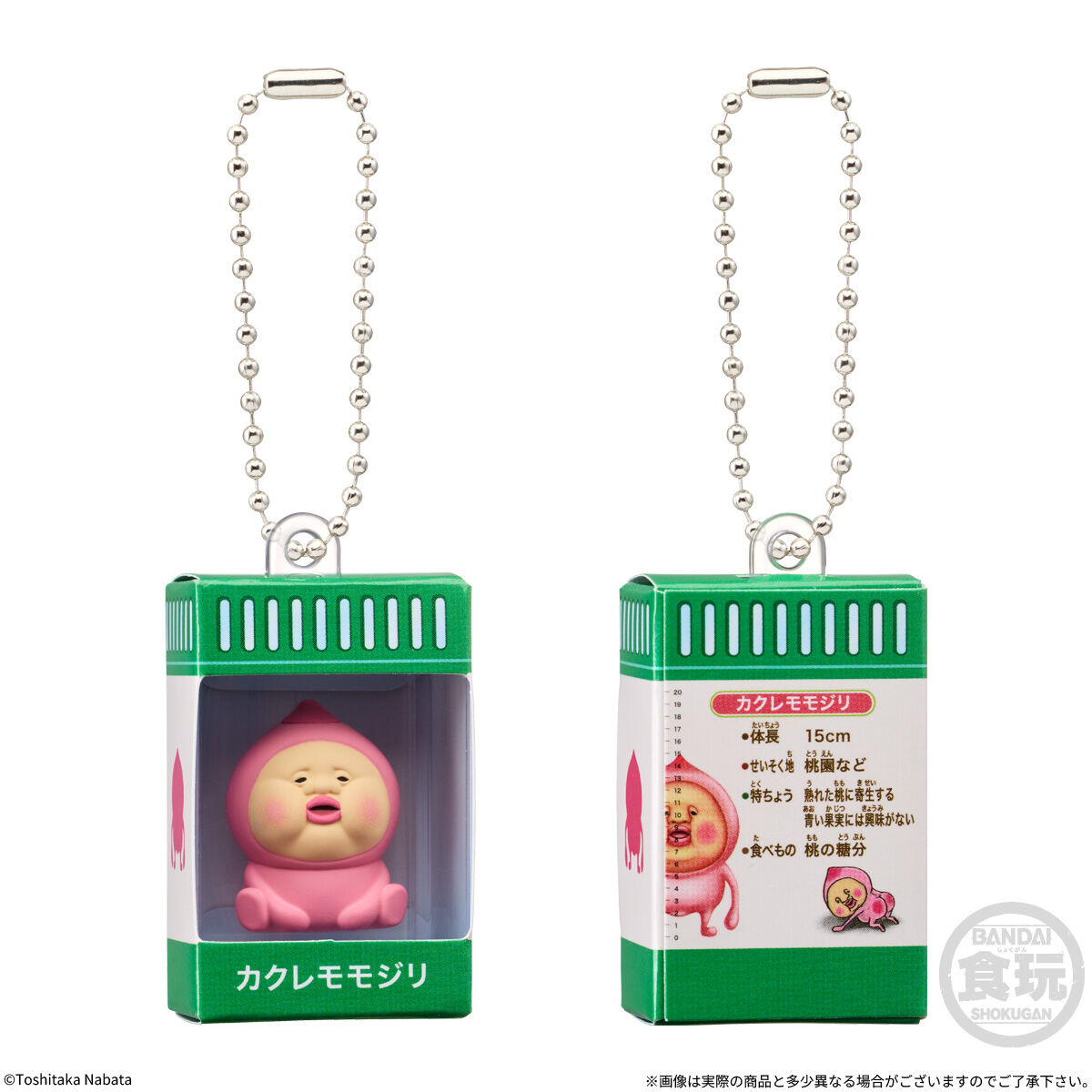 こびとづかん チョコボックス ボックスフィギュアコレクション(14個入