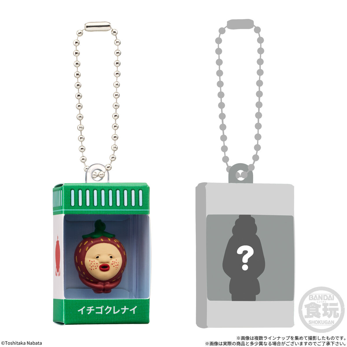 こびとづかん チョコボックス ボックスフィギュアコレクション(14個入