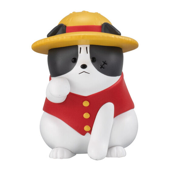 ごはんをくれ!と怒っておててが出ちゃったルフィわんちゃん