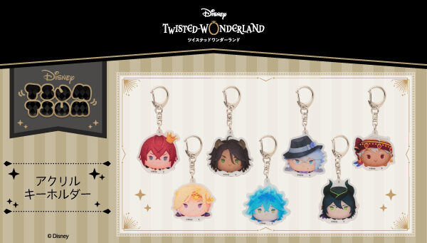 ツイステッドワンダーランド　グッズ ディズニー ツイステッドワンダーランド｜ アニメグッズ ・フィギュア