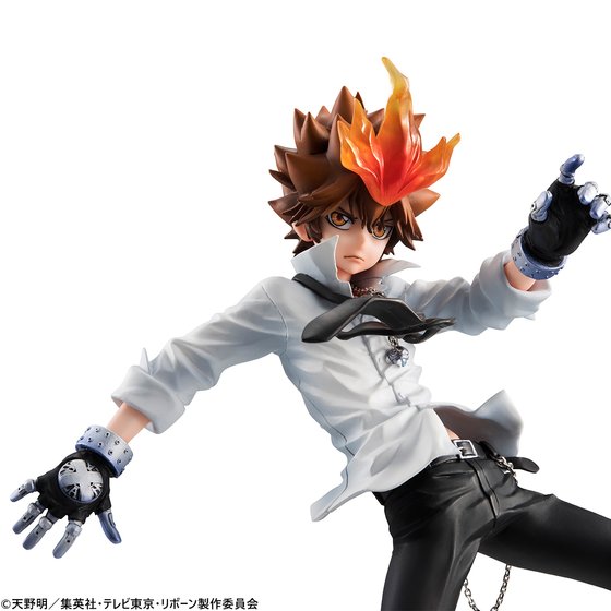 家庭教師ヒットマンREBORN リボーン 沢田綱吉 ツナ 雲雀恭弥